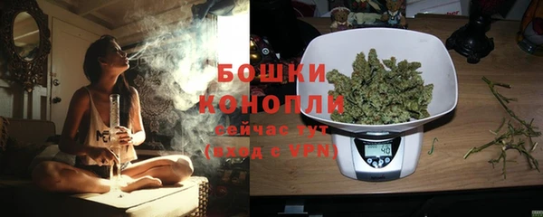 ALPHA PVP Гусев