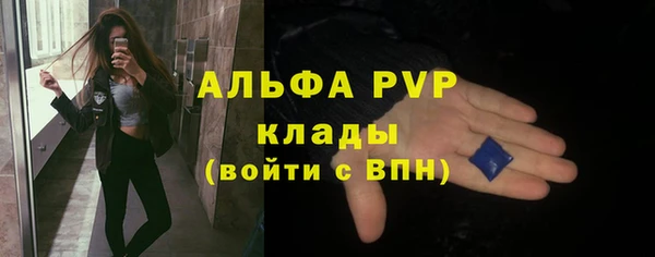 индика Гусь-Хрустальный