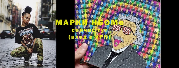 индика Гусь-Хрустальный