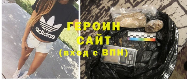 индика Гусь-Хрустальный