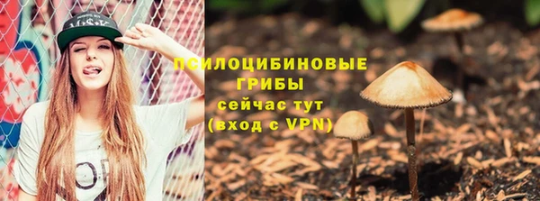 марки nbome Гусиноозёрск