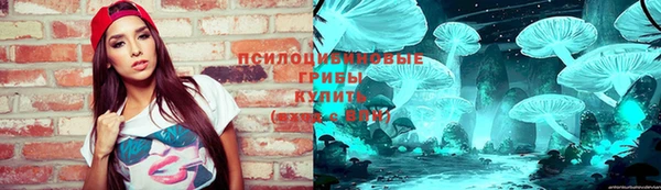 индика Гусь-Хрустальный