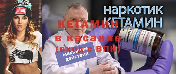 индика Гусь-Хрустальный