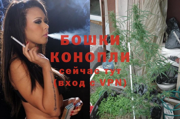 ALPHA PVP Гусев