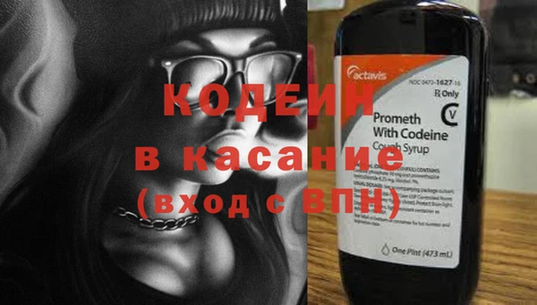 индика Гусь-Хрустальный
