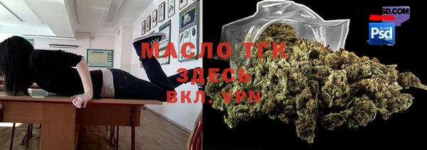 индика Гусь-Хрустальный